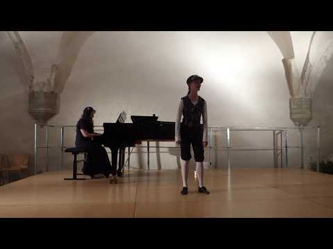 Ilina Eder- Oscar's Song "Saper vorreste" from "Un ballo in maschera