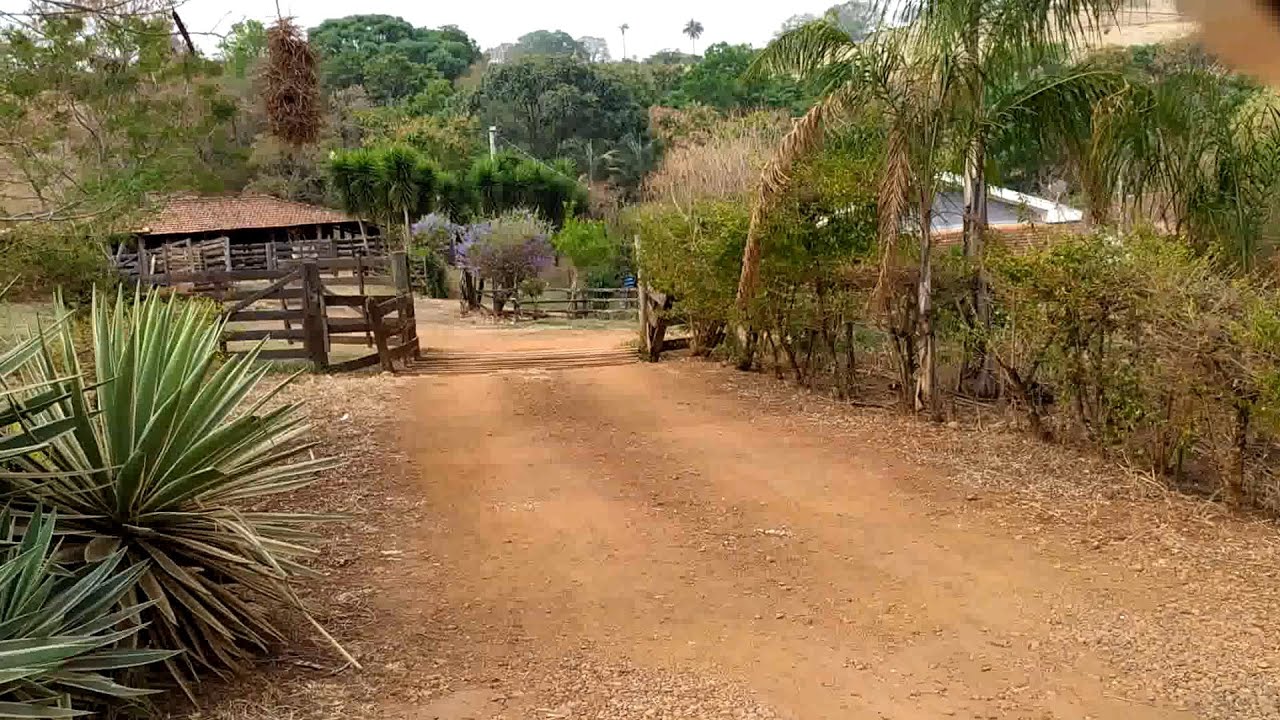 Lugar Lindo Sitio São Sebastião nascente de agua Corrego hortaliças animais curral  árvores  SP