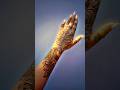 Krishna Mehendi Peacock Feather Mehandi Mehendi Designs For Krishna Janmashtami