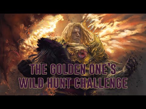 The Wild Hunt Challenge - My Birthday Wish. Book Release: Dauntless