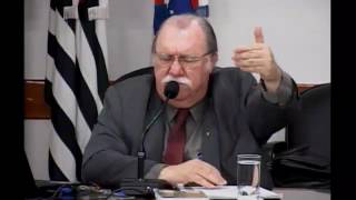 A PRÁTICA DA ADVOCACIA CRIMINAL NO DISTRITO POLICIAL