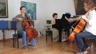 Belgrade University of Arts, Cello Master class, professor Denis Shapovalov