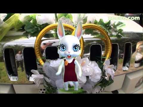 Zoobe Зайка Вместе и навсегда!