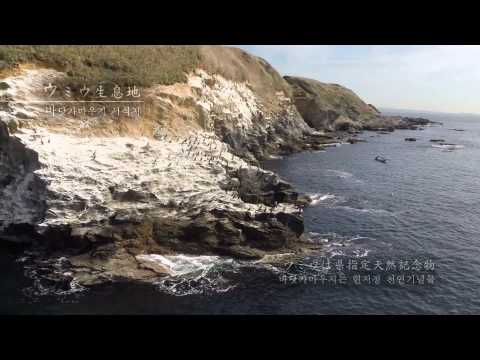 조가시마/가나가와현 일본（도쿄에서 1시간, 치유의 자연섬）