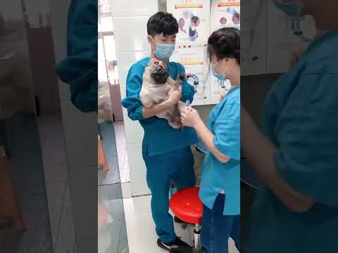 Phillies land All-Star closer Jhoan Duran ahead of MLB trade deadline 👀🔥 #jhoanduran