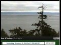 7 58 Yip Yip Calls Bst And Answer From Distant