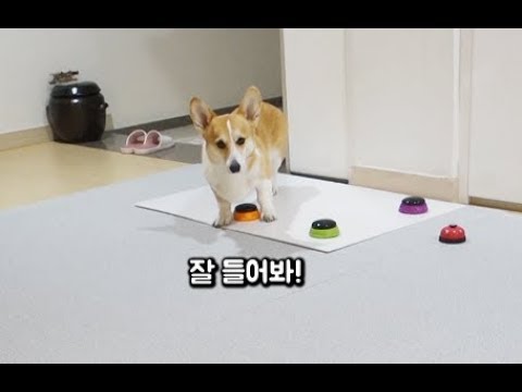 아이콘