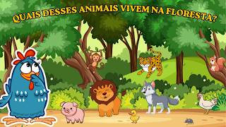Aprendendo sobre os animais!