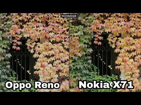 Nokia X71 vs Oppo Reno 10X Zoom Camera Comparison || #NokiaX71, #OppoReno, #Reno10XZoom, #TECHBUKHAR