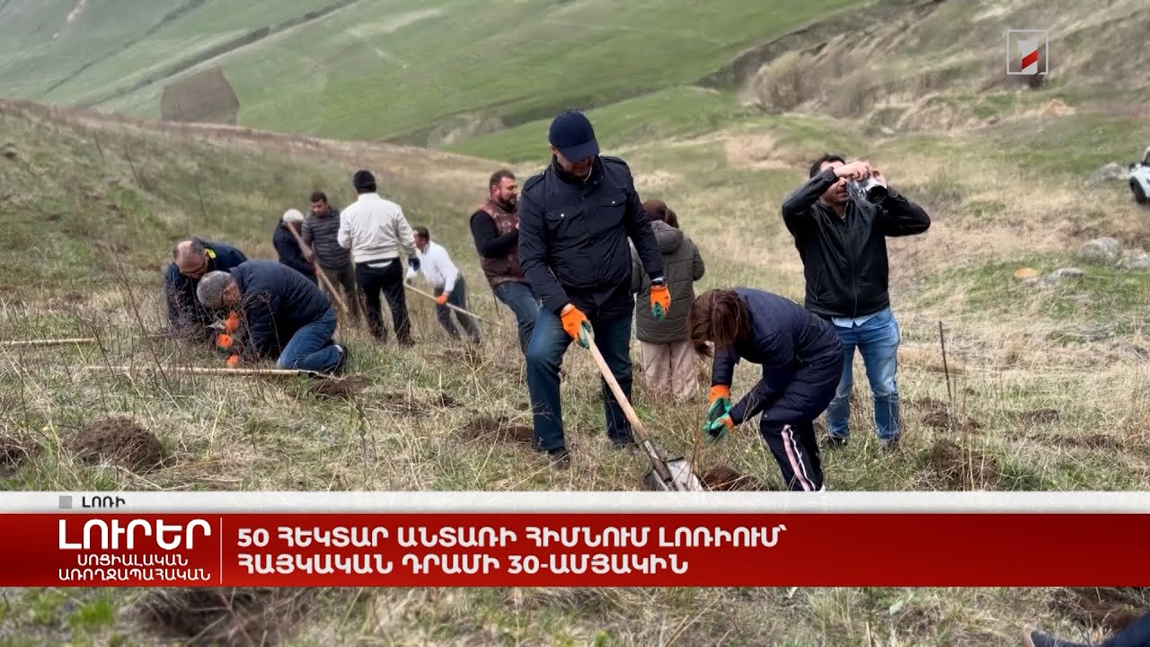 50 հեկտար անտառի հիմնում Լոռիում՝ հայկական դրամի 30-ամյակին