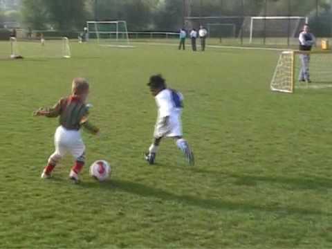 DSO MF1 - Wippolder MF1