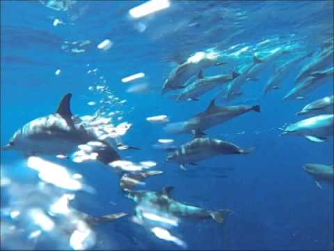 Spirit of the Sea Miniatura de video de YouTube 6