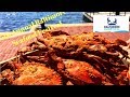 Chesapeake Seafood Festival - Baltimore