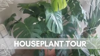Houseplant Tour