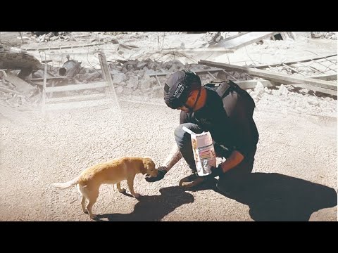 ［Official_Trailer］Dogs and War in Ukraine／犬と戦争 ウクライナで私が見たこと