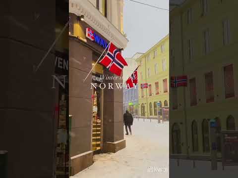 How winter looks like in Oslo🇳🇴🎿💡🇳🇴