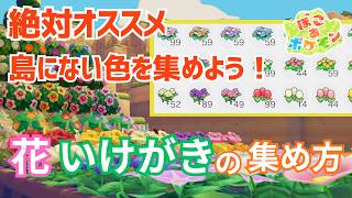 【ぽこあポケモン】オススメの花＆いけがきの集め方 | 自分の街・島にない色も集まる！おまけあり【攻略】
