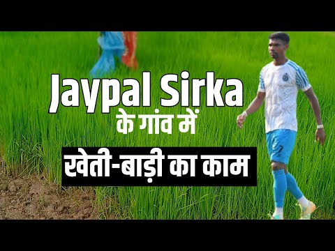 Village Scenes | Jaypal Sirka's village farming working | Full Video 2025 🔥 Nauru Sirka 