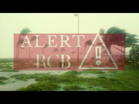 Junior x Powir - ALERT RCB