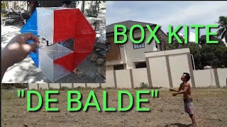 SARANGGOLA || BOX KITE WITH WINGS
