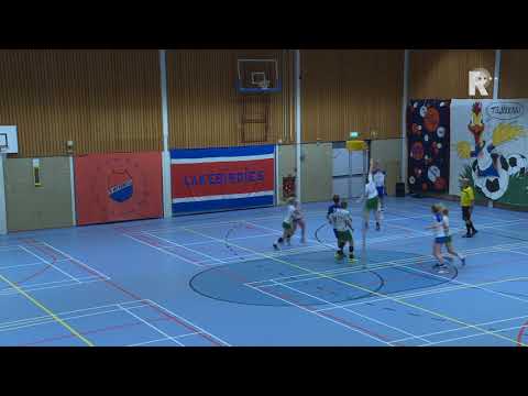 Enkele goals uit de wedstrijd Meervogels - PKC