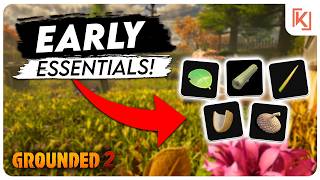 5 MUST-HAVE Resources You Need Early! | Grounded 2 Starter Guide