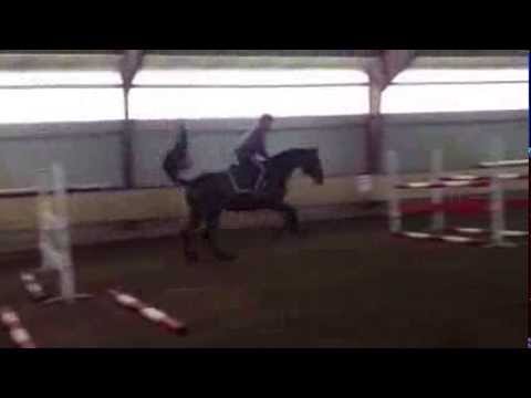 Contendro I - Caretino