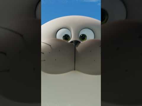 POV : You’re the Camera📷 #006 #COMINGSOON #shorts