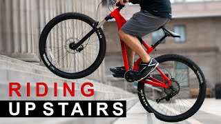 This Week I Learned to Cycle Up Stairs