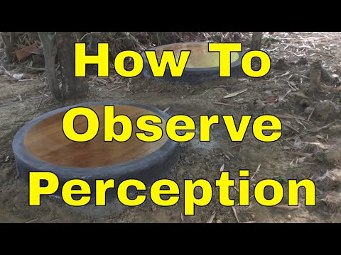 How To Observe Perception (Saññā)