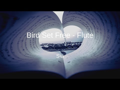 Sia - Bird Set Free - Flute Sheet Music