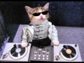 HOUSE MINIMAL 2011 VIRO Feat HARD TARGET Walking Away Dimas Remix HQ Avi