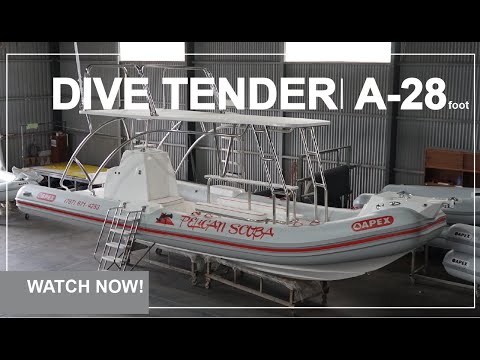 APEX BOATS - The best dive boat - Fully custom built for Pelican Scuba in Puerto Rico