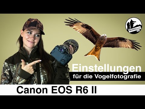 Canon EOS R6 II - Settings / Button Assignment / Shooting Mode for Bird Photography