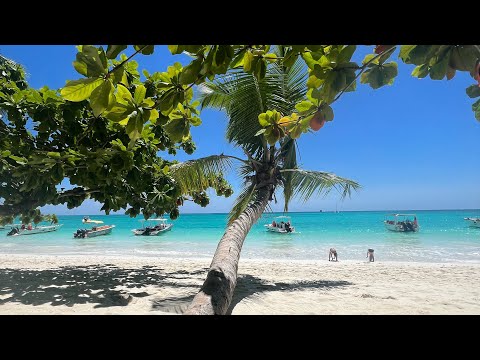 Unvergessliche Momente: Mit AIDAblu in Madagaskar