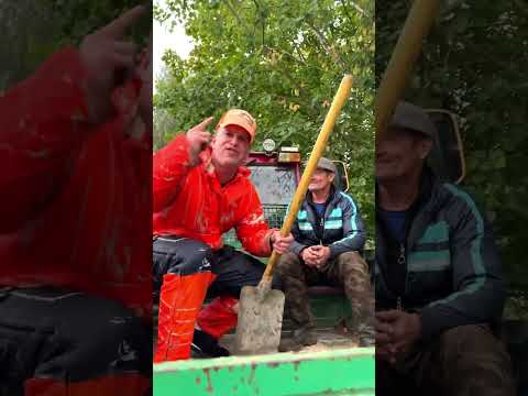 КАБАНА🐗🤣 Трек в сети! #юмор #танцы #беларусь #топ #панусялян