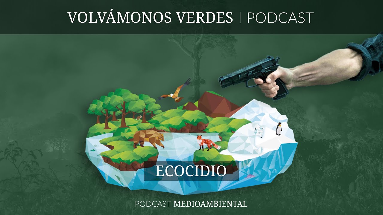 Briefly explained: Ecocide