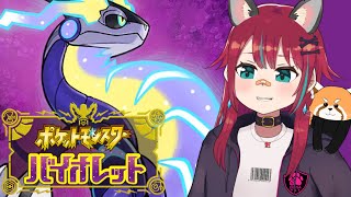 【ポケモンSV】ゆるっとストーリー進める