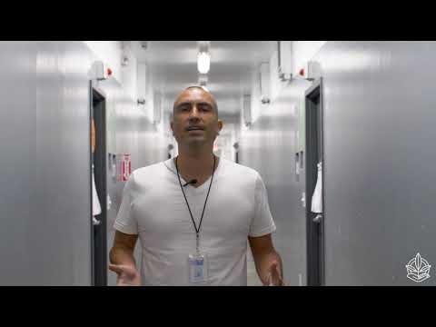 Source Cannabis x Green Goddess Collective