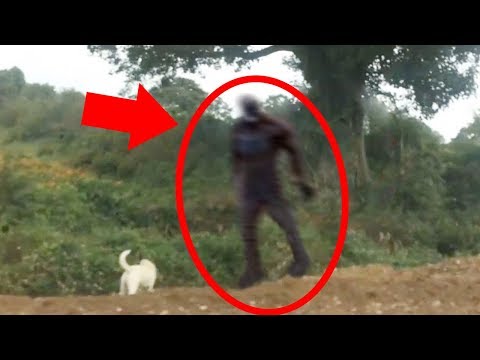 5 Scary Things Caught On Camera & In Real Life - BIGFOOT