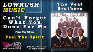 The Veal Brothers - Can't Forget What You Done For Me