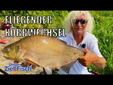 JÖRG OVENS has TADDER: MONSTER BREAM FEEDERS - Our goal is fish