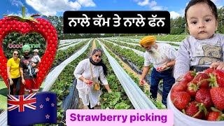 Mummy daddy ne Pehli baar todia strawberries🍓Nale kam te nale fun.ਨਾਲੇ ਕੱਮ ਤੇ ਨਾਲੇ ਫੱਨ punjabi vlog