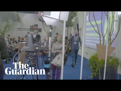 Greta Thunberg to carbon offsetting meeting: 'Stop greenwashing'