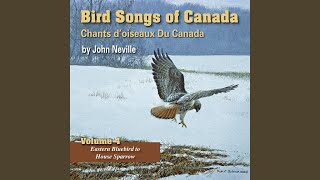 Download lagu Burung Pipit Belalang mp3