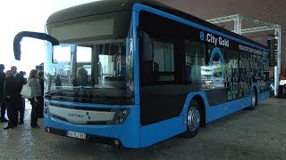 Portugal contrata a compra de 510 novos ônibus