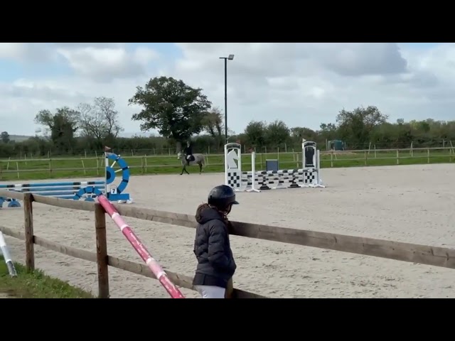 Ponette plein papier new forest 5ans 