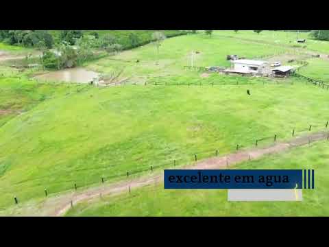 33 alqueires Alto Alegre dos Parecis 