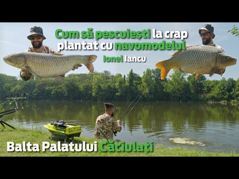 Pescuit la CRAP PLANTAT pe Balta Palatului Caciulati - Ghid complet | Ionel Iancu | MarelePescar