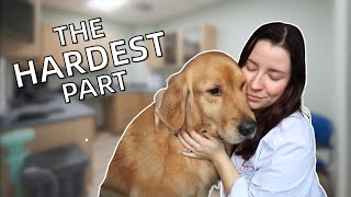 Euthanasia Tips for Veterinarians: what to expect, how to prepare, what to say